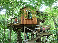 128 Longwood Gardens [2008 August 23]